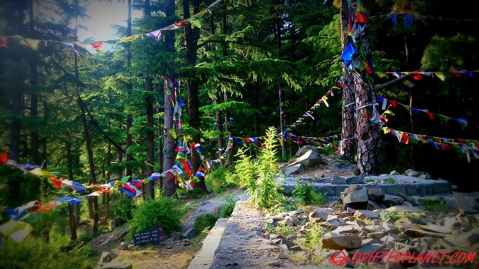 Dharamkot Village Mountain View Dharamshala